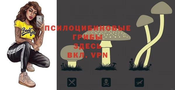 дурь Верея