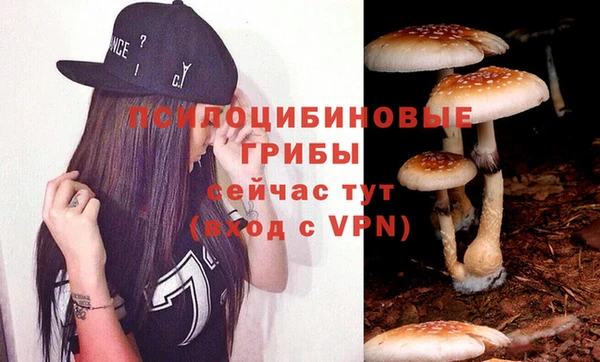 винт Верхний Тагил