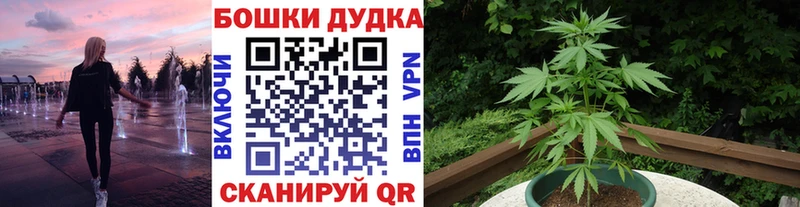 как найти наркотики  Елизаветинская  Шишки марихуана THC 21% 